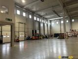 Sklady spoločnosti Sklad na prenájom 5 000 m² - Petrovany | Industrial park Prešov na prenájom