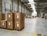 Sklady spoločnosti Sklad na prenájom 27 317 m² - Senec | Industrial park Senec na prenájom