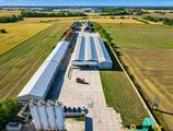 Sklady spoločnosti Výrobné a skladové haly Dunajská Streda: od 300 do 3 800 m², voľné ihneď na prenájom